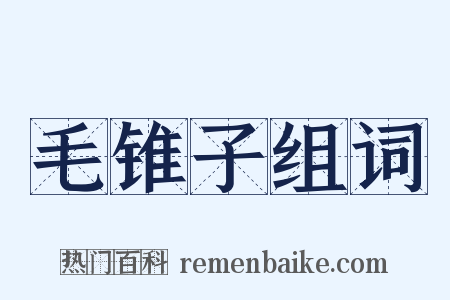 毛锥子组词是什么意思的图片
